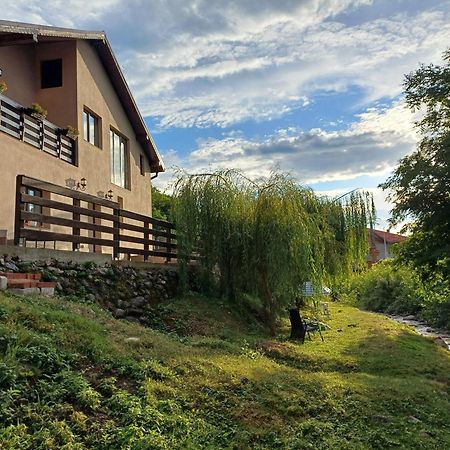 شقة Casa Radu Novaci-Străini المظهر الخارجي الصورة