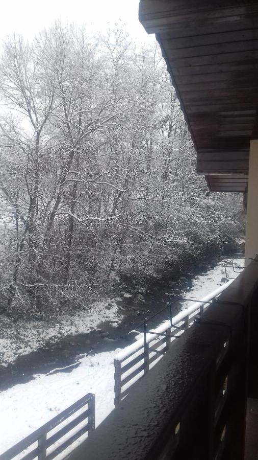 شقة Casa Radu Novaci-Străini المظهر الخارجي الصورة