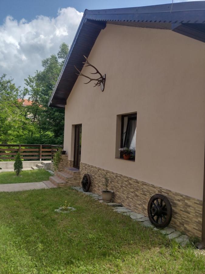 شقة Casa Radu Novaci-Străini المظهر الخارجي الصورة