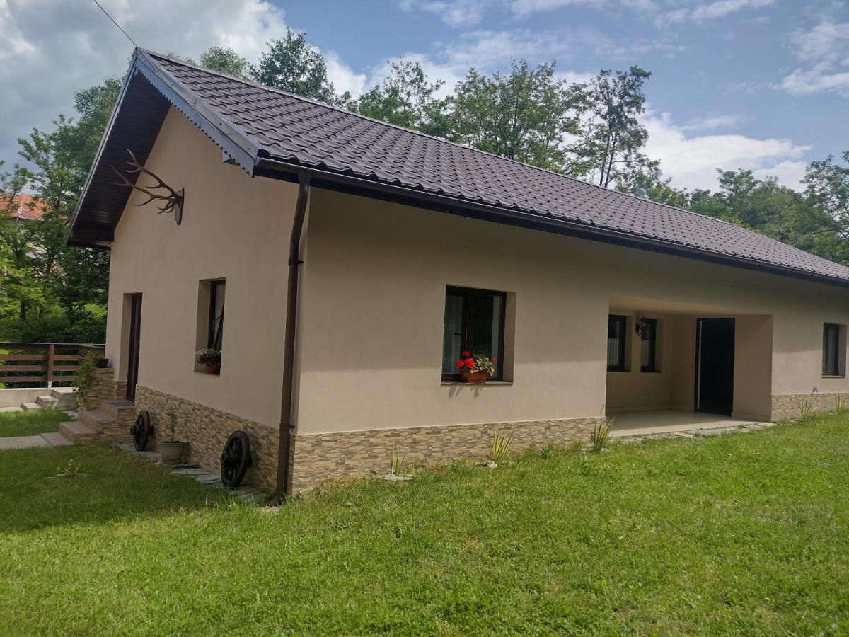 شقة Casa Radu Novaci-Străini المظهر الخارجي الصورة