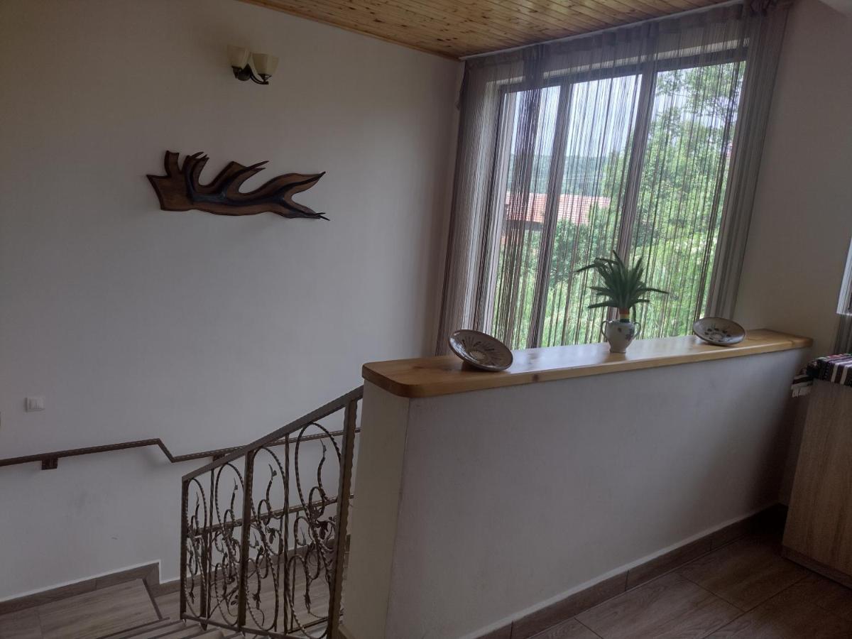 شقة Casa Radu Novaci-Străini المظهر الخارجي الصورة