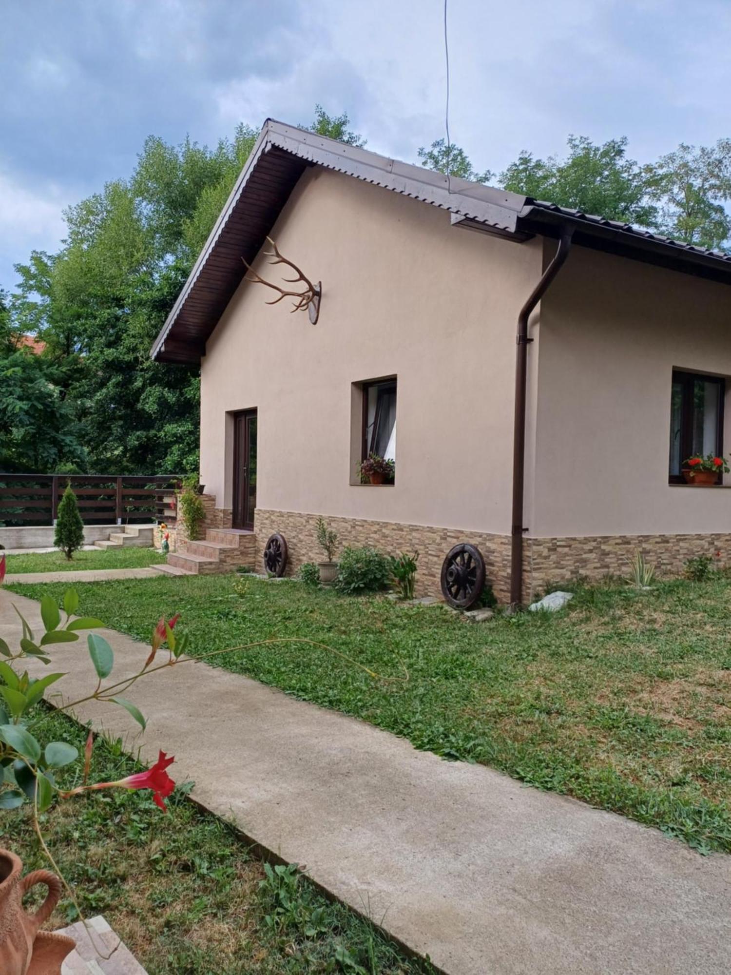شقة Casa Radu Novaci-Străini المظهر الخارجي الصورة