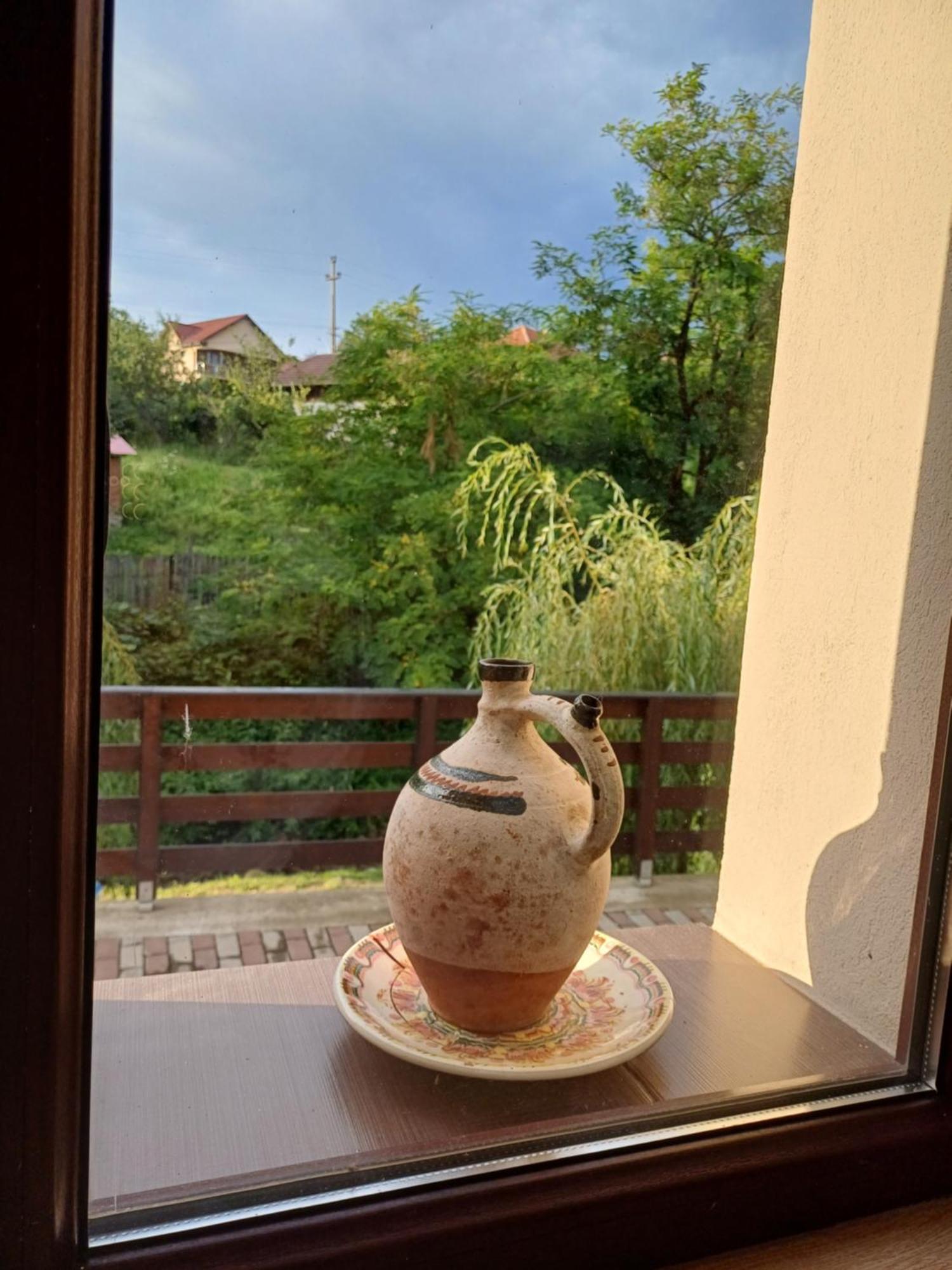 شقة Casa Radu Novaci-Străini المظهر الخارجي الصورة