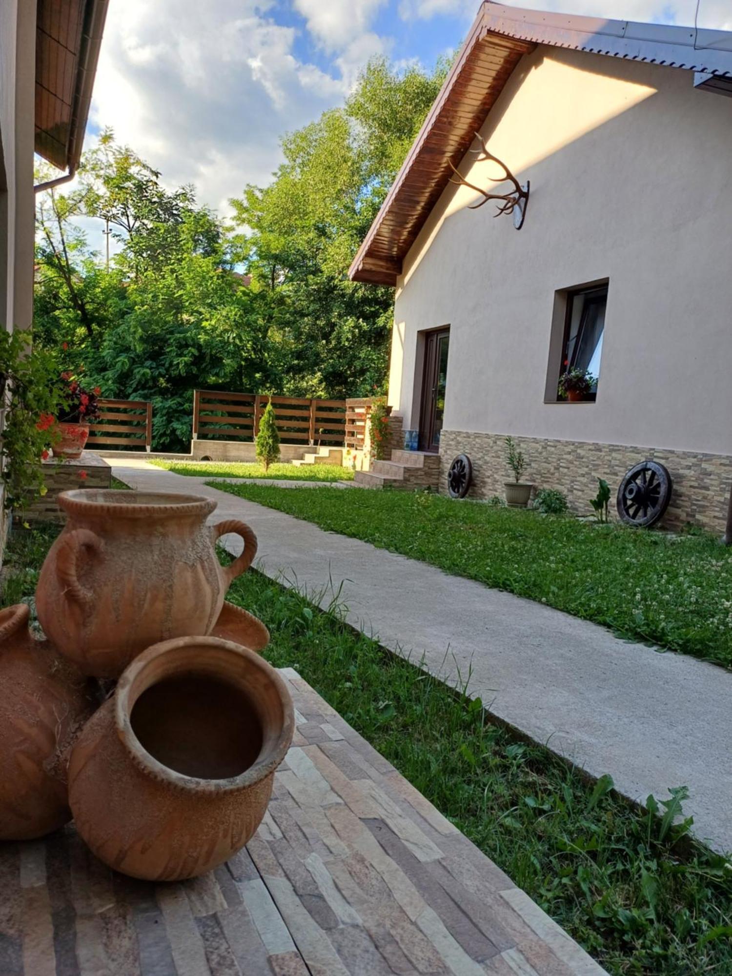 شقة Casa Radu Novaci-Străini المظهر الخارجي الصورة